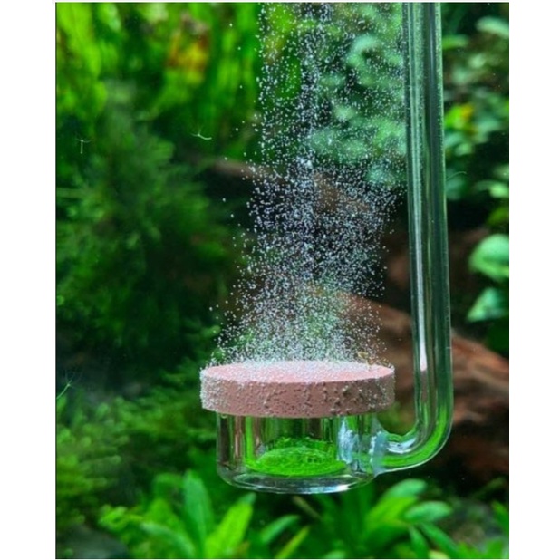 Đầu sủi CO2 NEO Diffuser Aquario - Normal Special