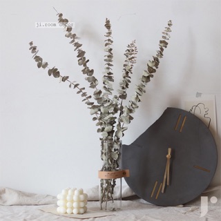 Set bình trụ thuỷ tinh & lá khuynh diệp (bạch đàn)