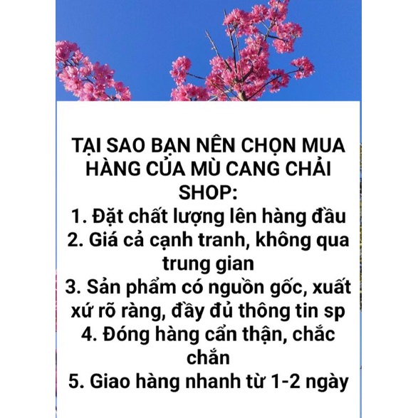 Táo mèo bao tử, táo mèo Yên Bái túi 1kg