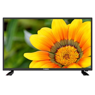 Tivi Led PUSHIKA TV 40” HD - 40PT50