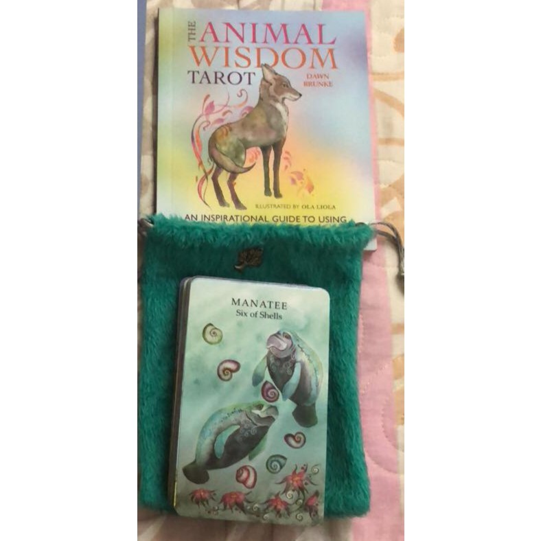 Bộ bài Animal Wisdom Tarot