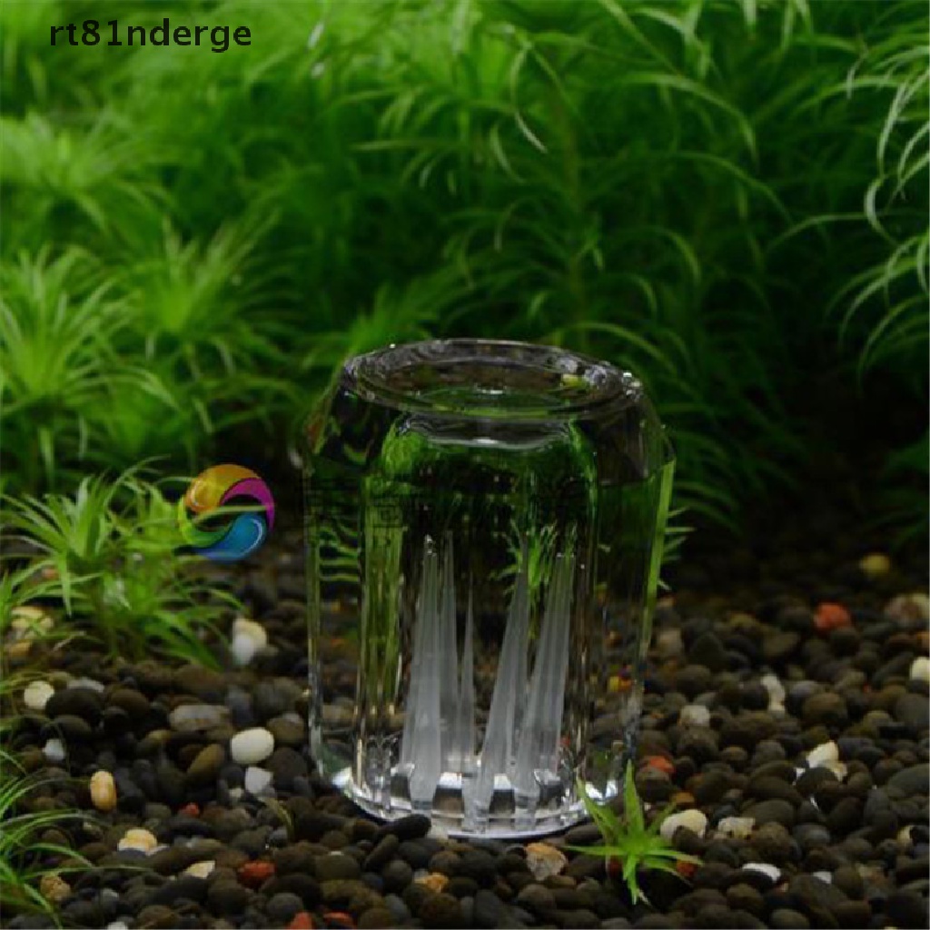 【ge】 8 Hole snail trap free bait for aquarium fish plants tank Planarian leech Catch .