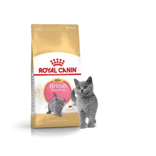 Thức ăn hạt khô cho mèo royal canin british shorthair dry food