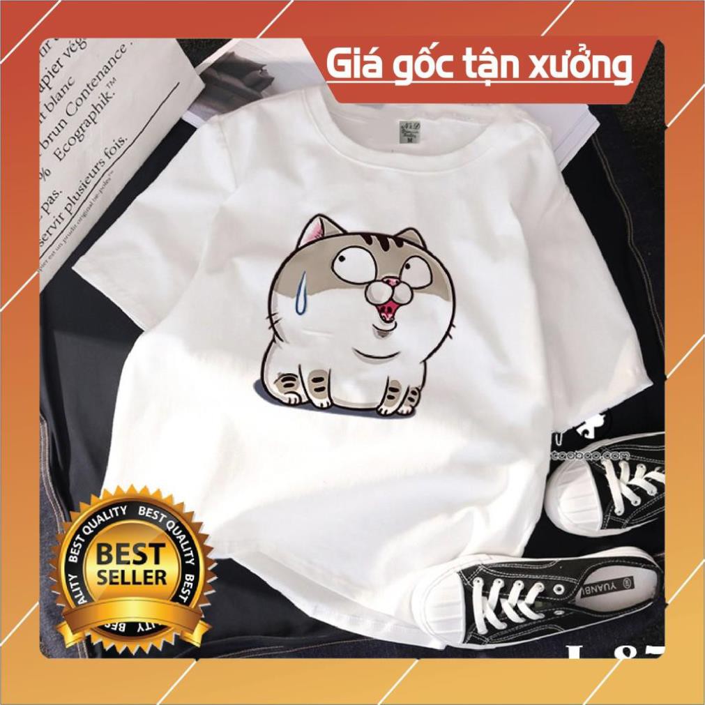 😍SALE HÈ😍 Áo Phông Đẹp Giá Rẻ Mèo Ami bụng bự siêu to khổng lồ