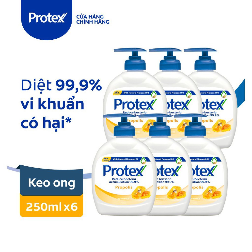 [Mã FMCGCO5 giảm 8% đơn 250K] Bộ 6 Nước rửa tay diệt khuẩn Protex Propolis keo ong 250ml/chai