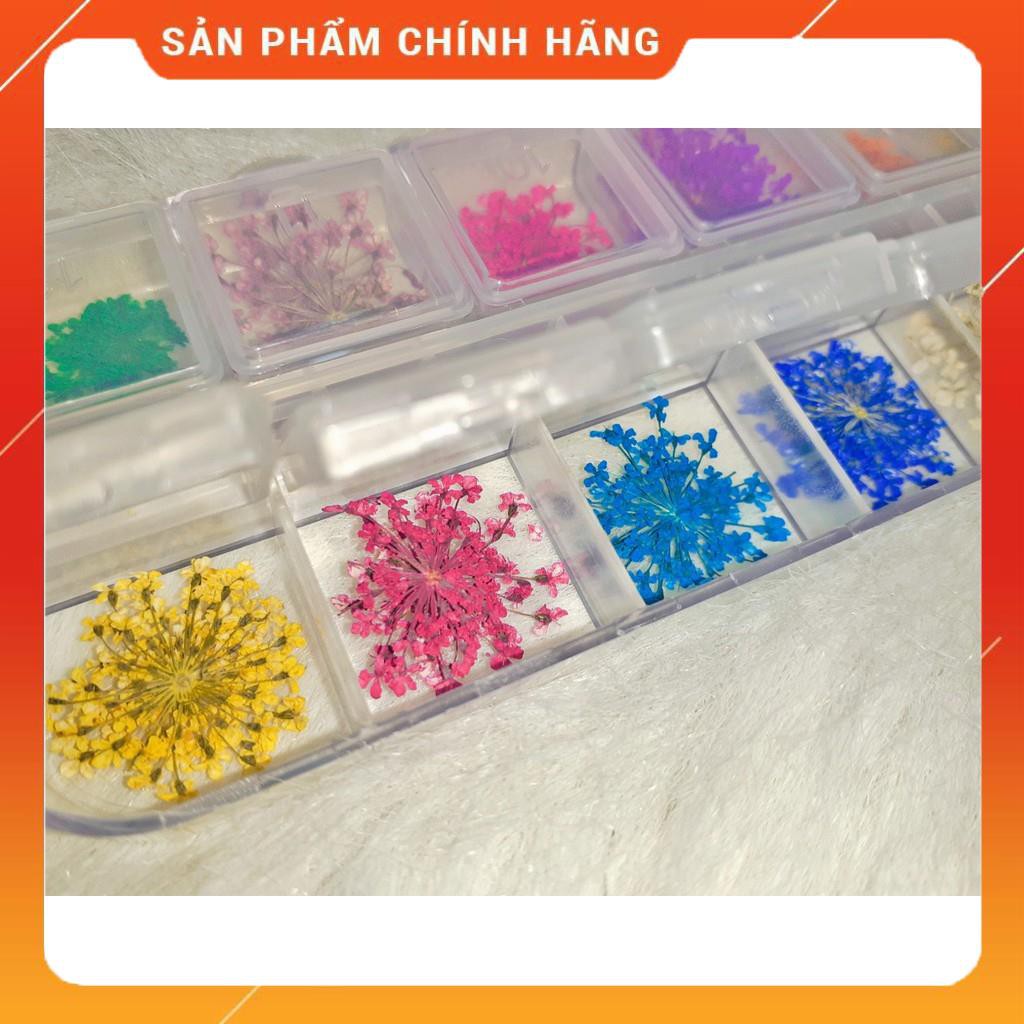 Set Hoa Khô Chùm Trang Trí Nail 12 Màu - Set Hoa Khô Chùm Trang Trí