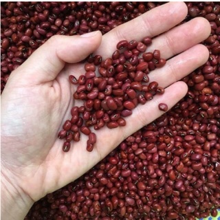 Đậu đỏ hữu cơ 1kg