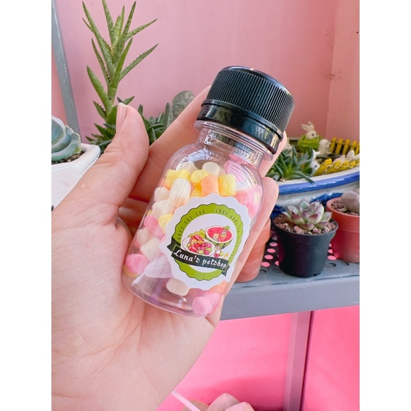 Kẹo dẻo tuyết cầu vồng cho thú nuôi. Kẹo bông gòn trái cây cho hamster/Sóc