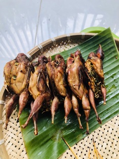 Lá Sọ chó còn gọi là Sẻn gai 20g