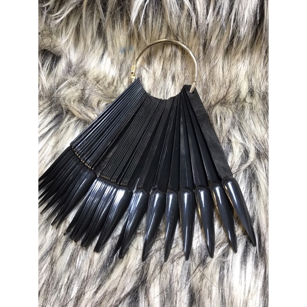 Móng que tập sơn vẽ trưng bày mẫu khách