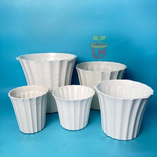 Chậu nhựa trồng cây , Chậu mini trồng sen đá