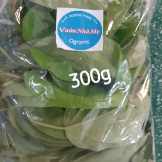 100g lá trầu tươi