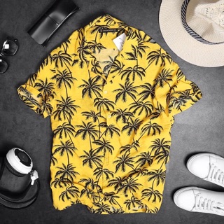 Sơ mi đũi hawai