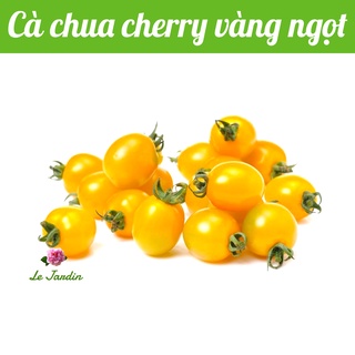 Hạt giống cà chua bi ngọt ORANGE CHARM 403 gói 5 hạt