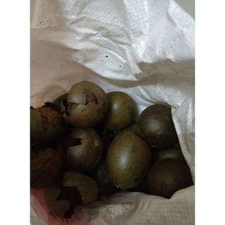 hạt giống la hán quả