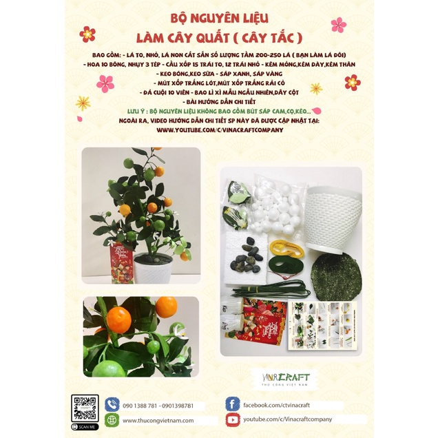 Bộ kit chậu cây quất Handmade