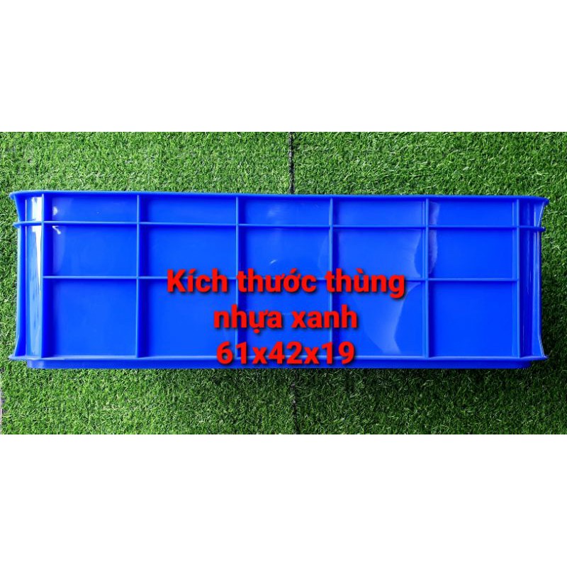 Khay nhựa nuôi cá sóng bít thấp kích thước 61x42x19