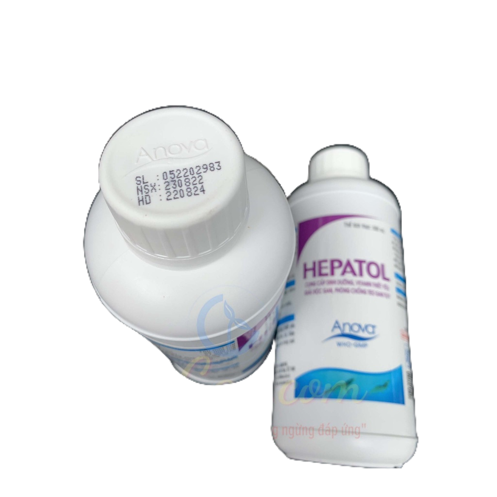 Hepatol Cho Tôm Cung Cấp Dinh Dưỡng, Vitamin, Giải Độc Gan, Phòng Chống Teo Gan Tụy