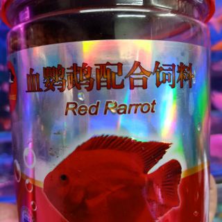 Thức ăn cho cá hồng két