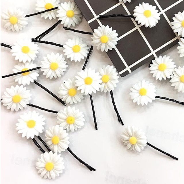 (rẻ vô địch)combo 10c cúc hoạ mi:cặp,buộc