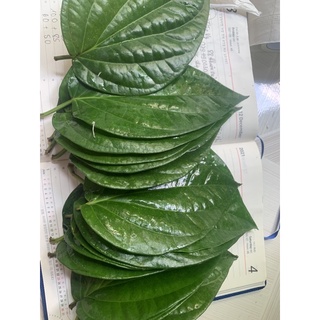 LÁ TRẦU KHÔNG HÀNG TƯƠi ( 500gram-1kg)