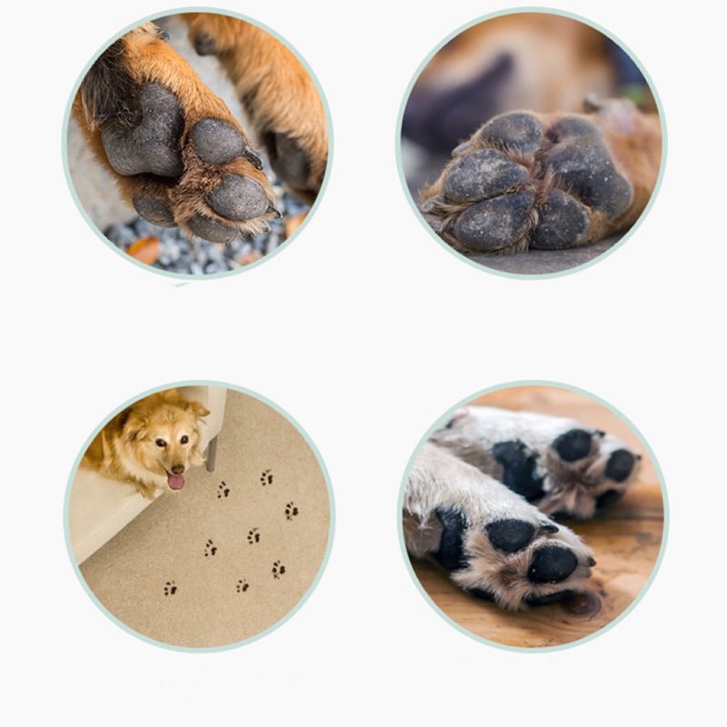 Bình xịt bọt tắm khô Daoliqi Foot Cleansing Foam có kèm bàn chải cọ chân cho chó mèo