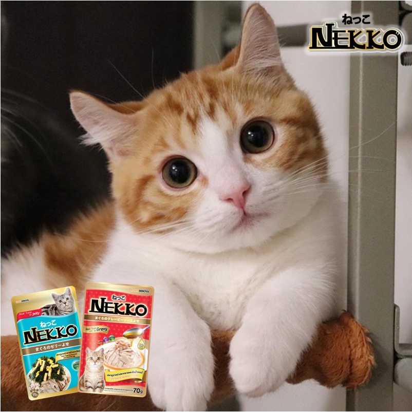Pate Nekko cho mèo nhập khẩu từ Thái Lan, nhiều hương vị thơm ngon, gói 70g | Bé Ba Petshop
