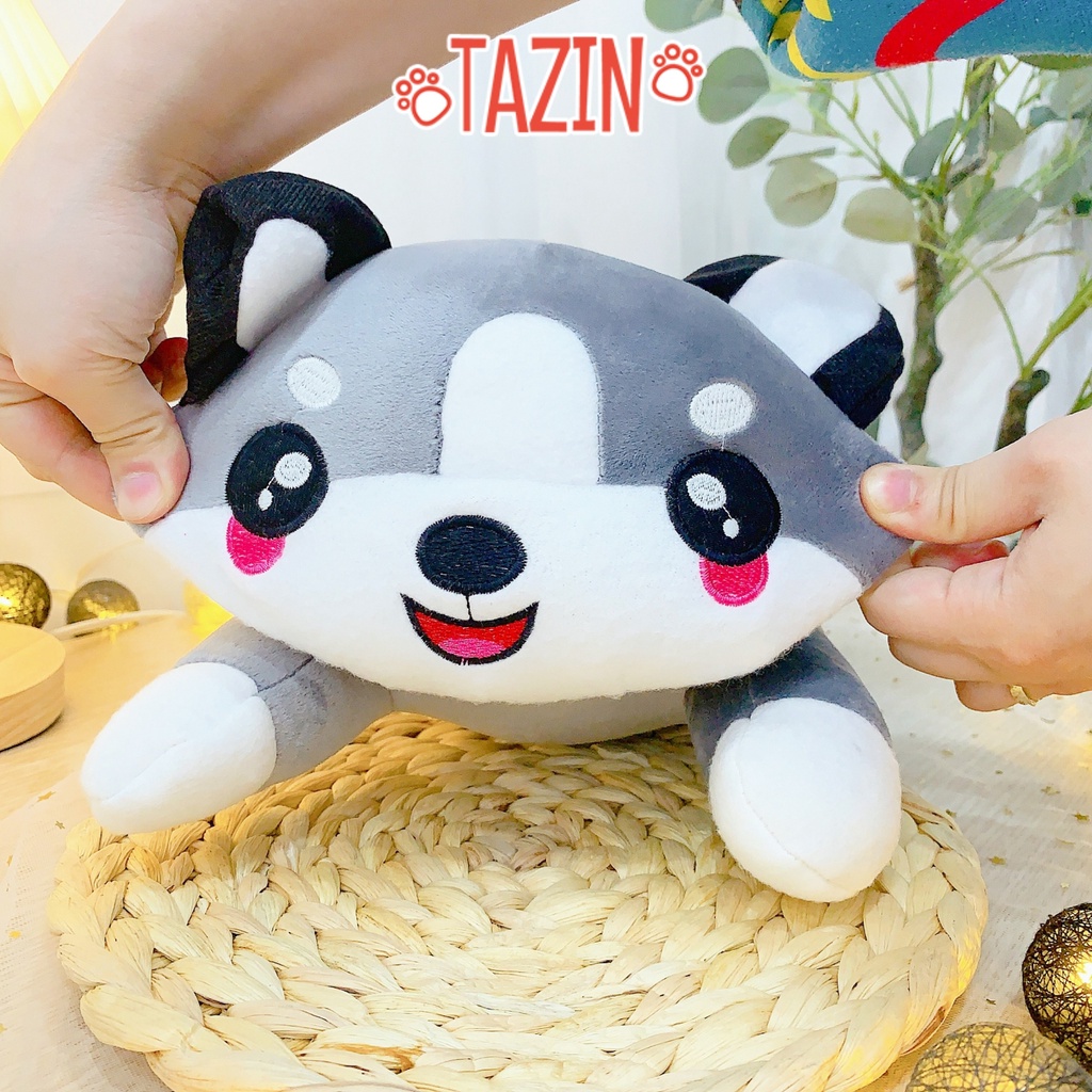 Gấu bông mèo mắt tròn mini cute, gối ôm nhồi bông mèo mắt tròn nhỏ xinh cho bé cao cấp Tazin