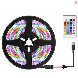 Dây Đèn Led 300 Bóng Nhiều Màu Sắc Kèm Điều Khiển Từ Xa 16 Màu Và 4 Chế Độ Chiếu Sáng 5m