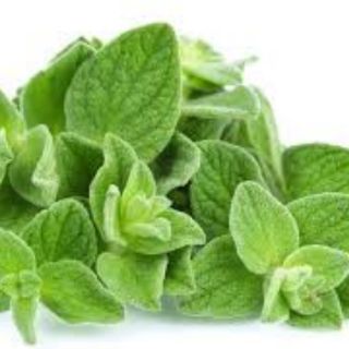 Lá Oregano 10gram
