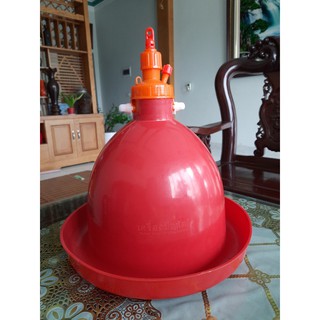 Máng chuông tự động Thái Lan