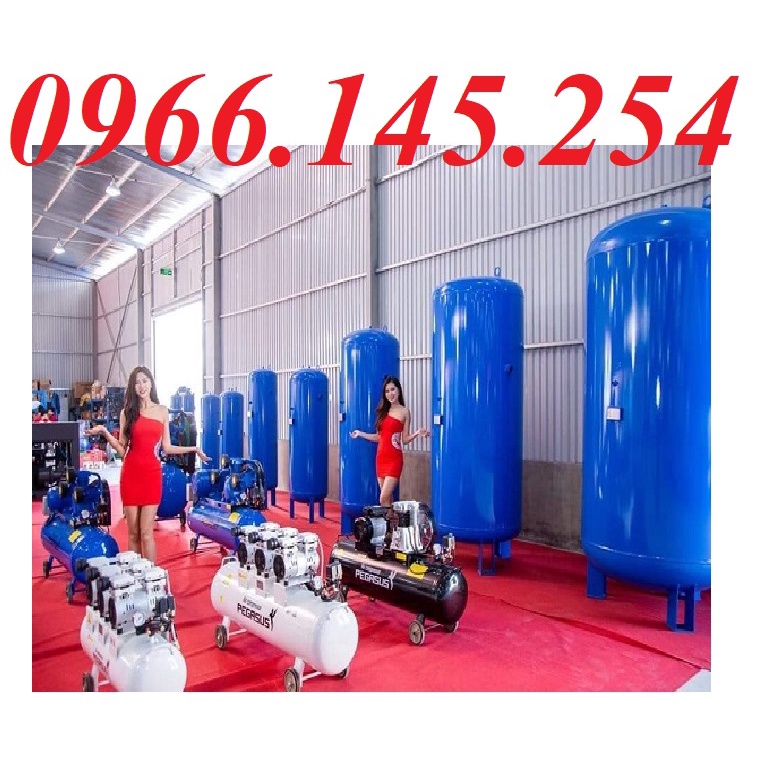 Bình Tích Khí Pegasus 500L