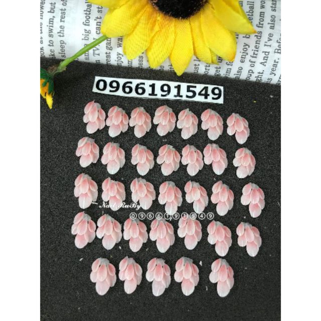 Hoa bột đính gốc móng tay( sale)