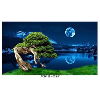 Tranh 3D bể cá (kt 60x40,90x45;100x50;100x60;120x60;150x60cm)