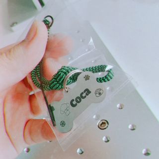 Pet's name bảng tên thú cưng