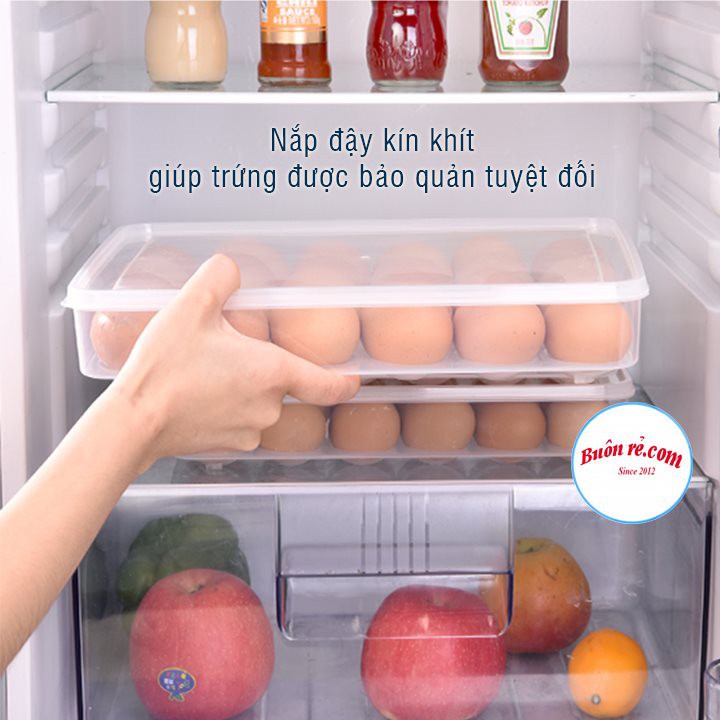 Hộp đựng trứng 24 quả có nắp đậy nhựa Việt Nhật (6786), khay bảo quản trứng không bị vỡ chắc chắn -Buôn rẻ 01229 | BigBuy360 - bigbuy360.vn