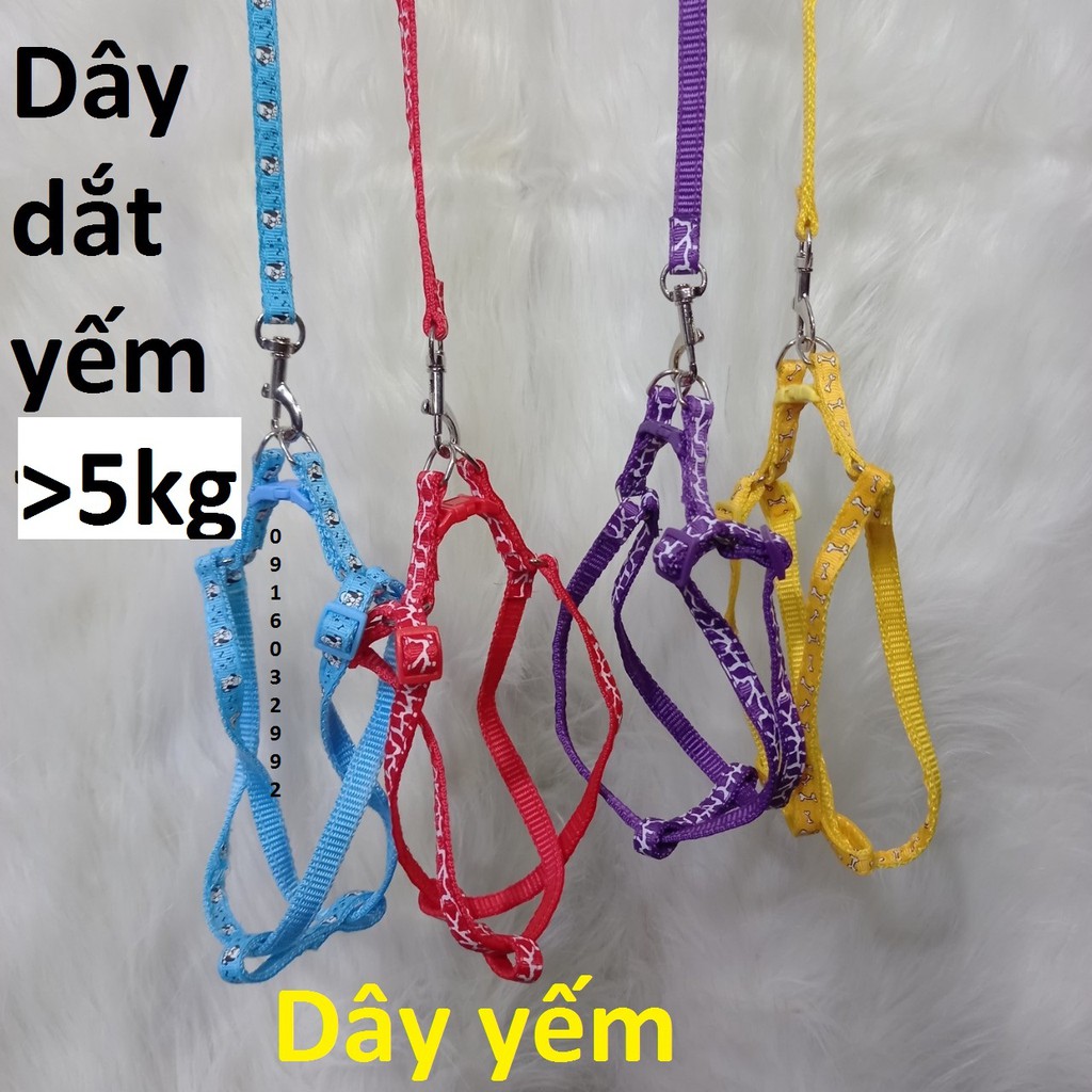 Dây dắt chó mèo - Dây đai yếm cho chó mèo nhỏ hơn 3,8kg