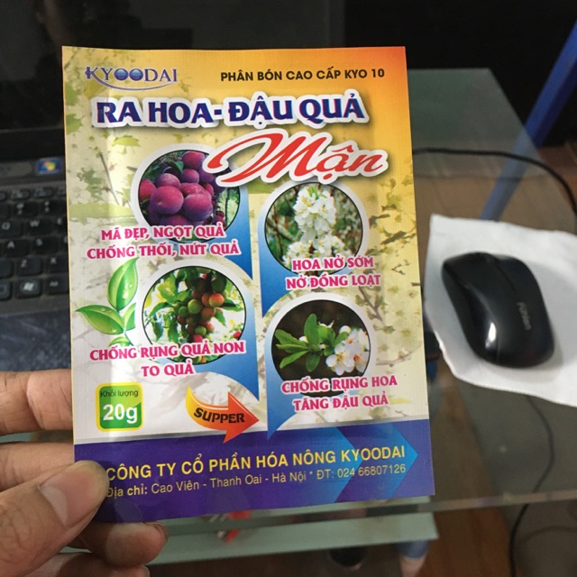 Ra hoa- đậu quả Mận ( kích ra hoa đồng loạt )