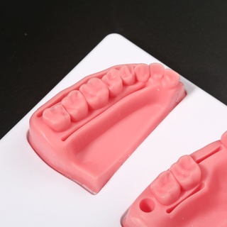 Bộ dụng cụ thực hành niềng răng 4 trong 1 với 4 kiểu dáng bằng sil 6