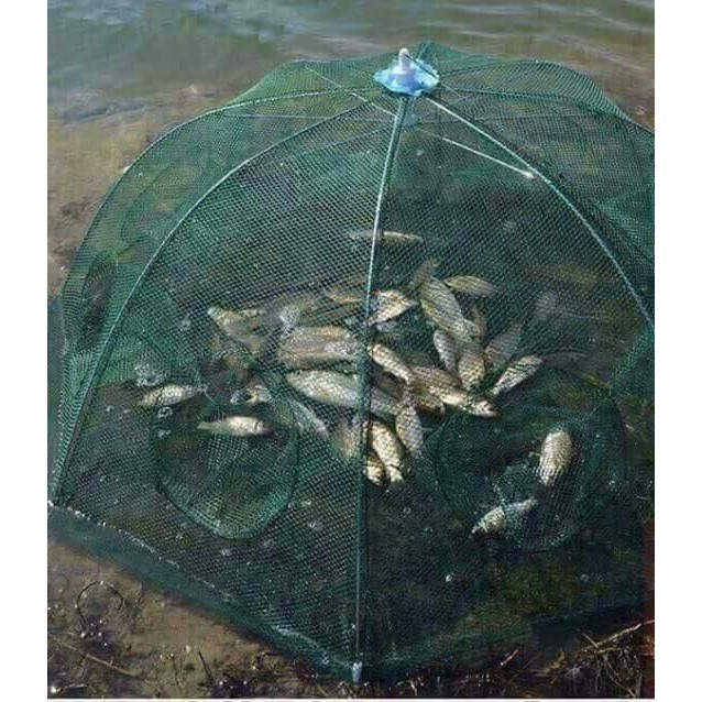 Lưới Bát Quái - Lưới Bát Quái Đánh Cá Tự Bung Khi Cần, Gấp Gọn Tiện Lợi