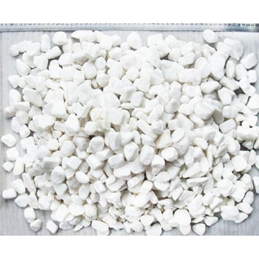 Bịch Sỏi Trắng Viên Vừa  Trang Trí Hồ Cá - Phụ Kiện Bể Cá- 1Kg