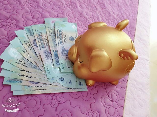 LỢN ĐẤT CÁNH TIÊN | BigBuy360 - bigbuy360.vn