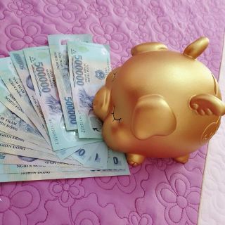 Heo thiên thần, heo cánh tiên