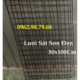 Lưới Sắt ĐEN 1 Chiếc 50x100CM và 30 Tay Cài 15Cm