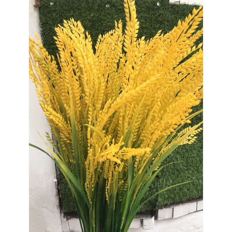 Bông lúa giả, bông lúa vàng sung túc ấm no