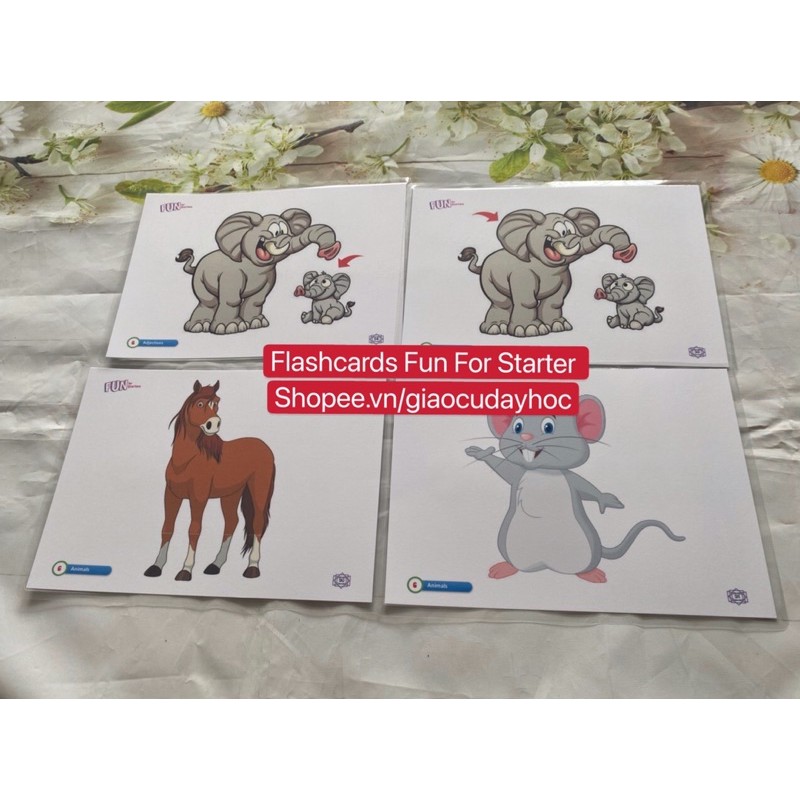 Flashcards Fun for Starter - 442 thẻ in 2 mặt ép plastics bền đẹp