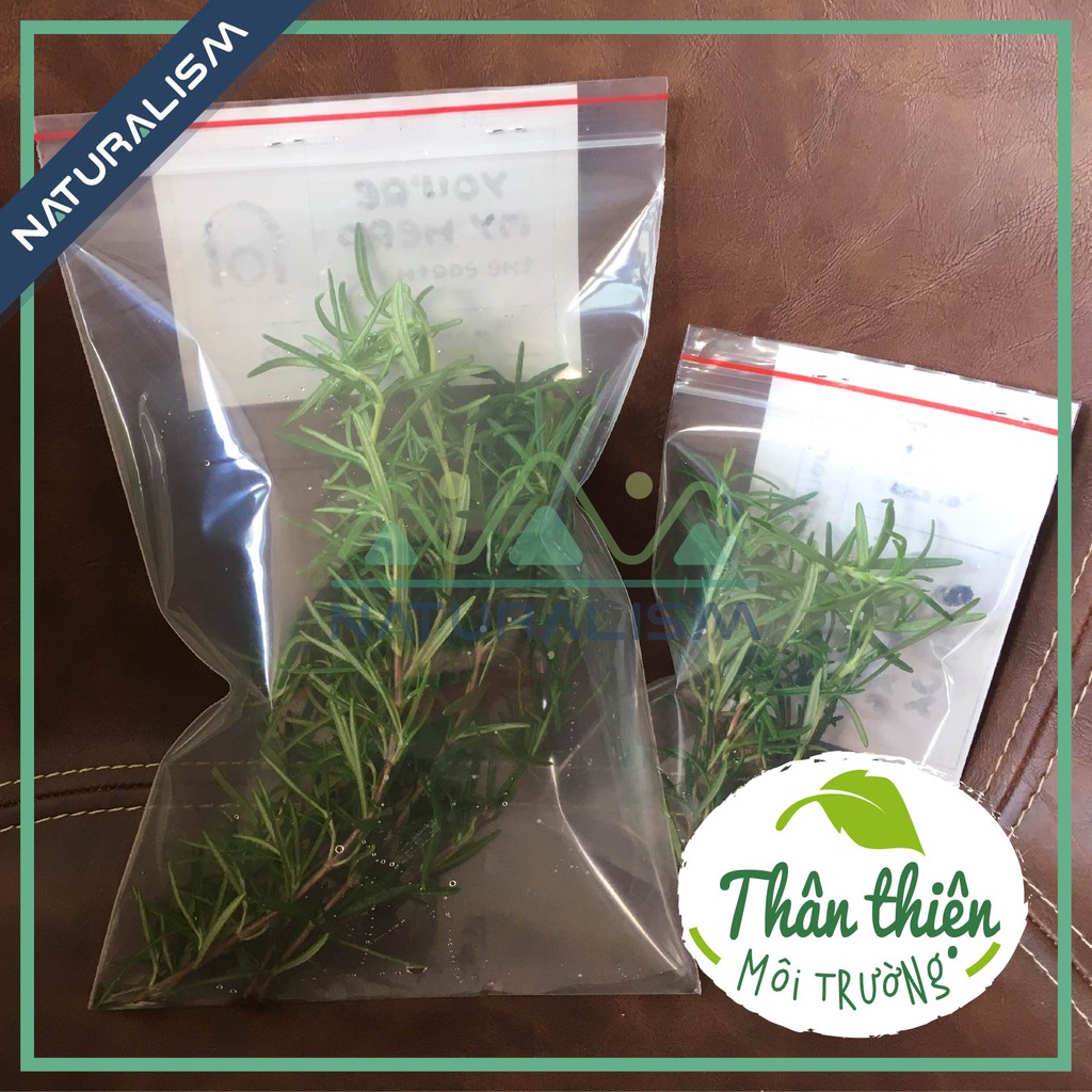 Cành Hương Thảo (khô và tươi) - Rosemary để nấu ăn, pha trà (8-10 cm, 18-20cm) - Homemade