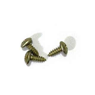 Ốc vít bắt tranh 8mm (100 ốc)