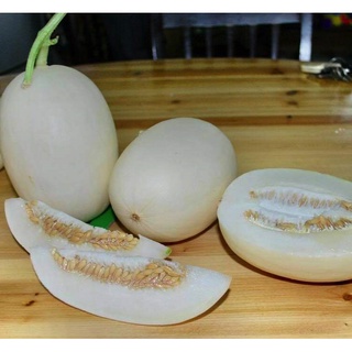 [Hạt giống Trung Quốc] Hạt giống dưa lê trứng siêu giòn ngọt - tỷ lệ nảy mầm 95%