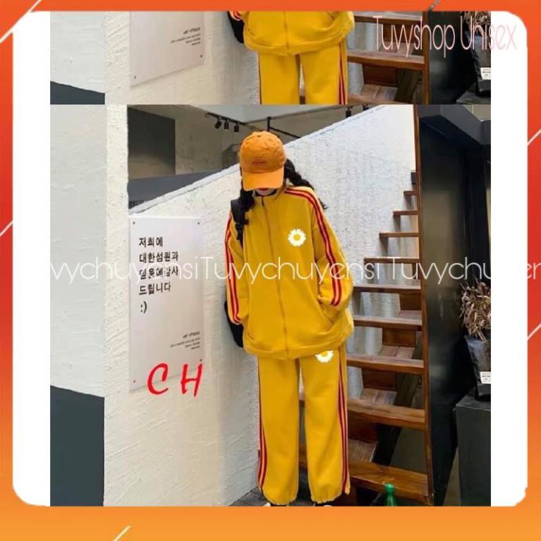 Sét 2 rót cổ bẻ hoa cúc COU854